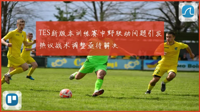 TES新版本训练赛中野联动问题引发热议战术调整亟待解决
